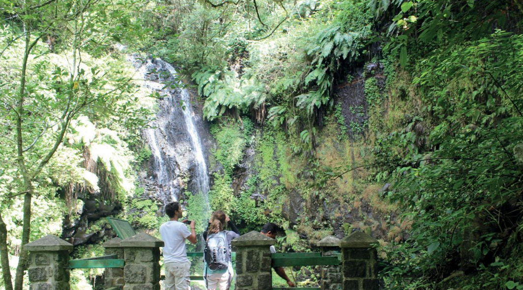 Nature Lodge